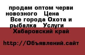 продам оптом черви новозного › Цена ­ 600 - Все города Охота и рыбалка » Услуги   . Хабаровский край